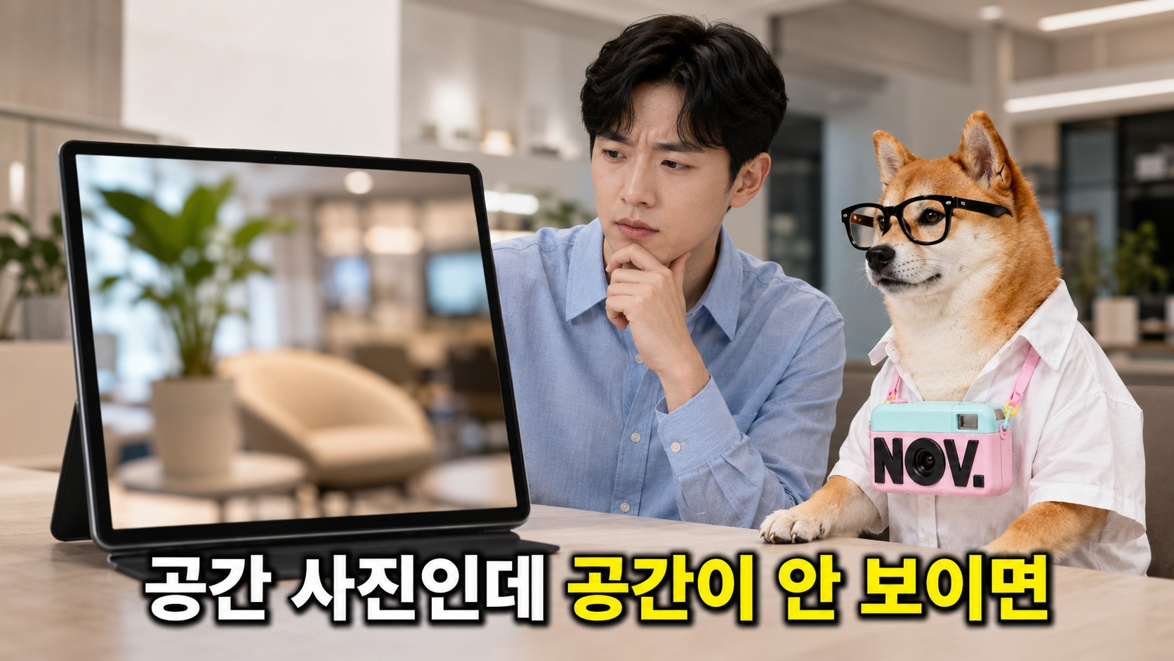 아웃포커스는 강할수록 좋은 사진일까요? 참고 이미지