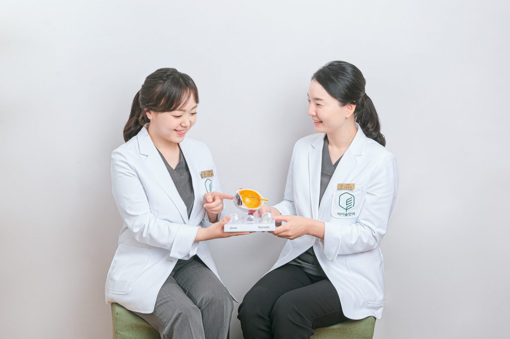 안과 포트폴리오