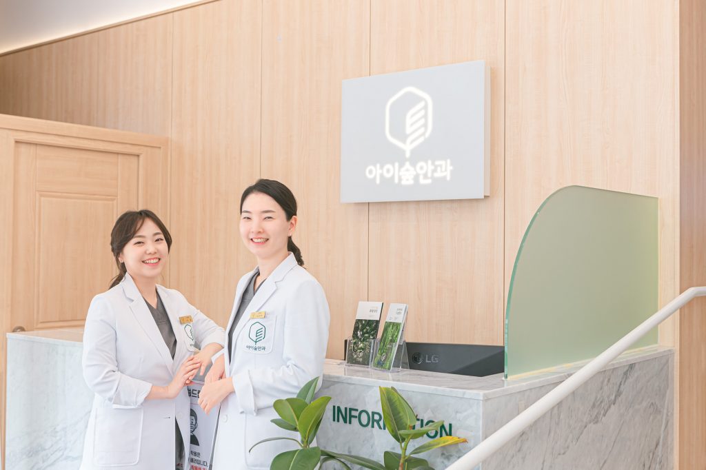 안과 포트폴리오